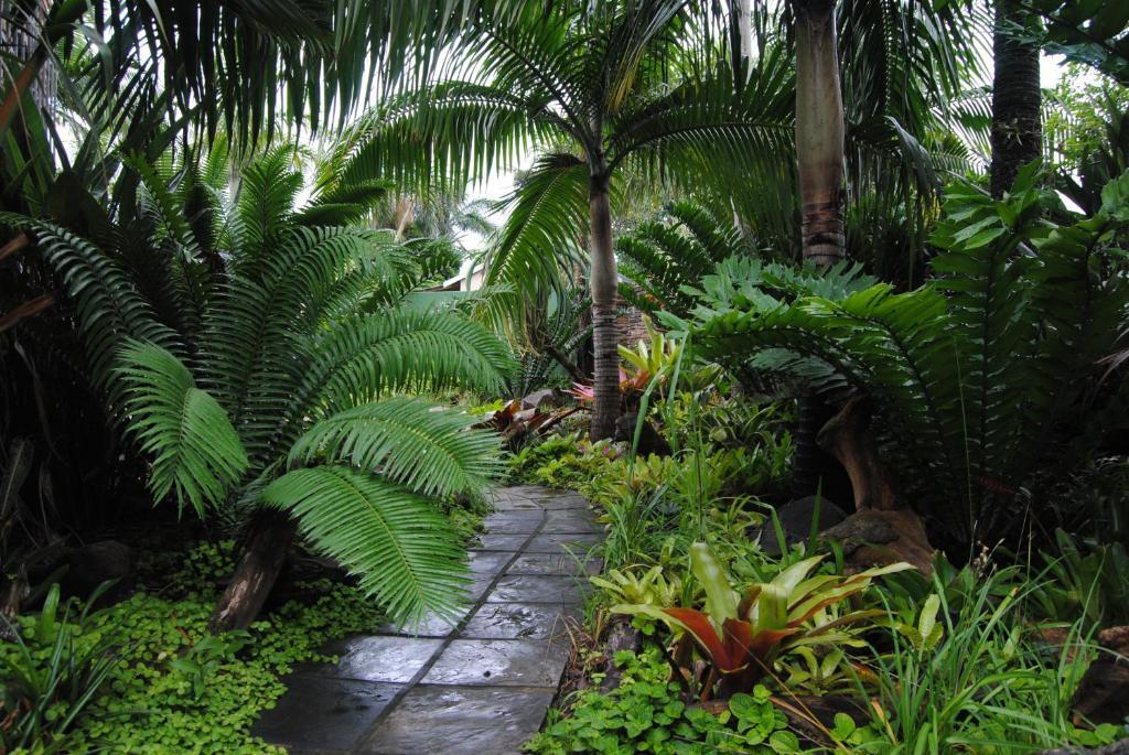 Buya Futhi Bed & Breakfast St. Lucia Exterior foto