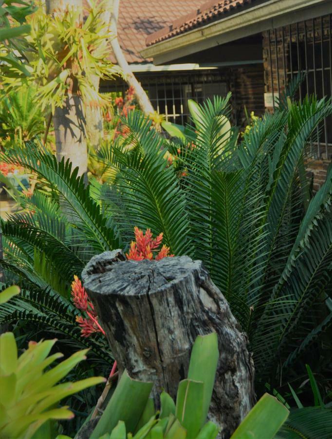 Buya Futhi Bed & Breakfast St. Lucia Exterior foto